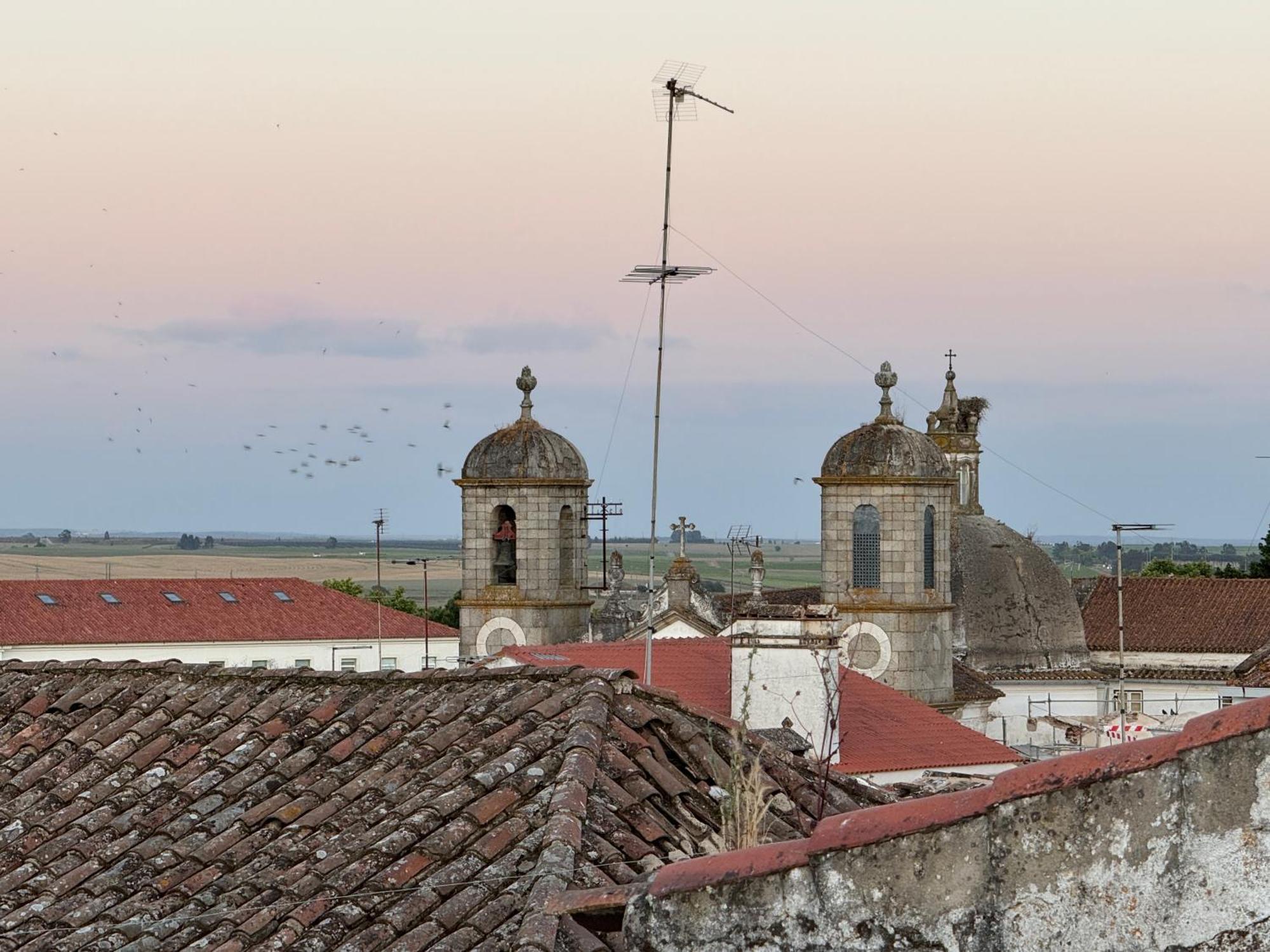 埃武拉Private Alentejo House With A Terrace别墅 外观 照片